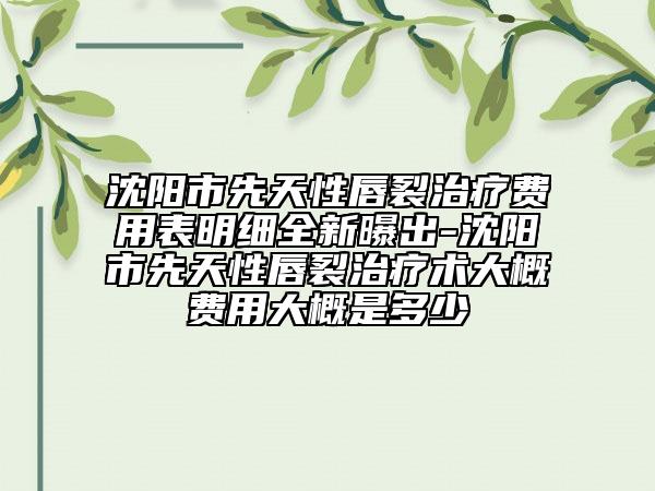 沈阳市先天性唇裂治疗费用表明细全新曝出-沈阳市先天性唇裂治疗术大概费用大概是多少