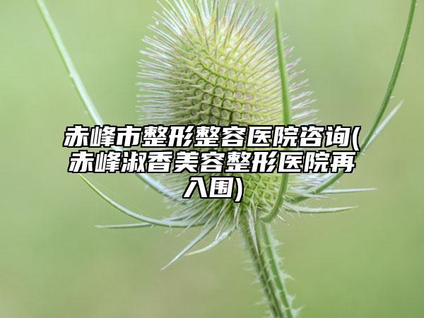 赤峰市整形整容医院咨询(赤峰淑香美容整形医院再入围)