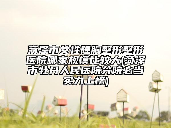 菏泽市女性隆胸整形整形医院哪家规模比较大(菏泽市牡丹人民医院分院必当实力上榜)