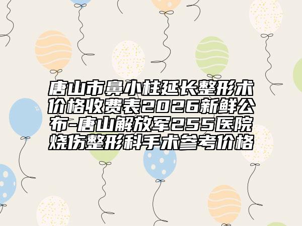 唐山市鼻小柱延长整形术价格收费表2026新鲜公布-唐山解放军255医院烧伤整形科手术参考价格