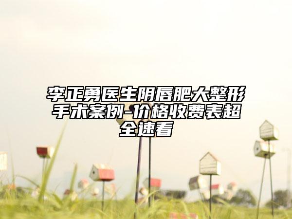 李正勇医生阴唇肥大整形手术案例-价格收费表超全速看