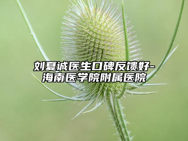 刘夏诚医生口碑反馈好-海南医学院附属医院
