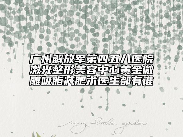 广州解放军第四五八医院激光整形美容中心黄金微雕吸脂减肥术医生都有谁