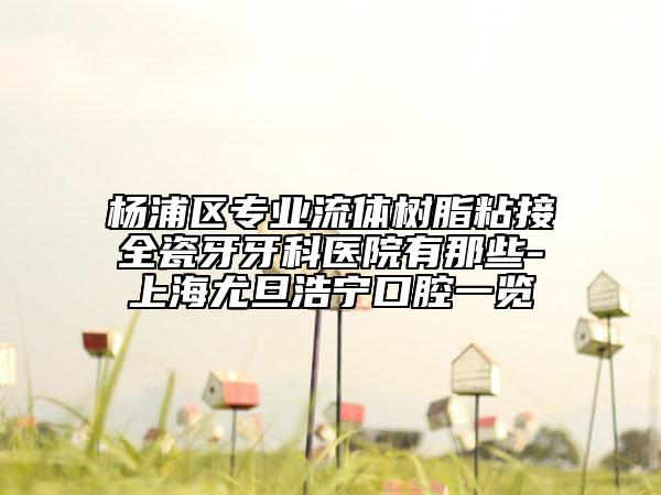 杨浦区专业流体树脂粘接全瓷牙牙科医院有那些-上海尤旦浩宁口腔一览
