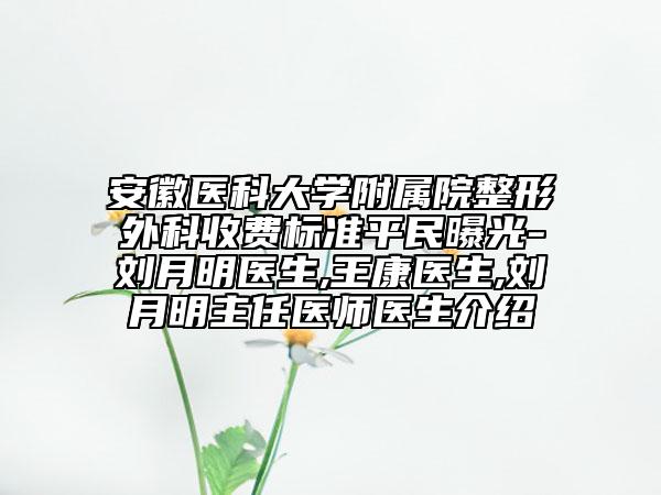 安徽医科大学附属院整形外科收费标准平民曝光-刘月明医生,王康医生,刘月明主任医师医生介绍