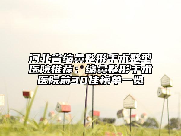 河北省缩鼻整形手术整型医院推荐：缩鼻整形手术医院前30佳榜单一览