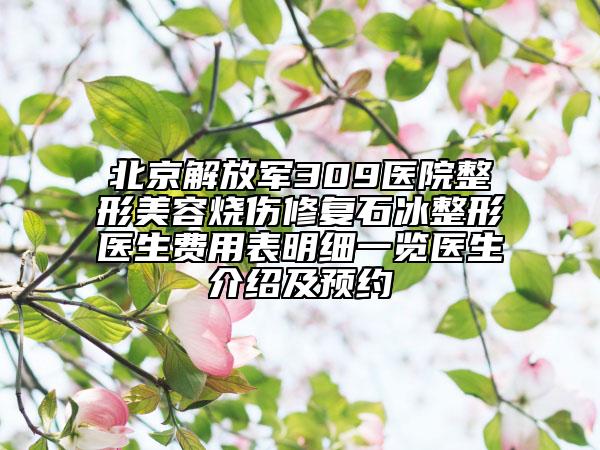 北京解放军309医院整形美容烧伤修复石冰整形医生费用表明细一览医生介绍及预约