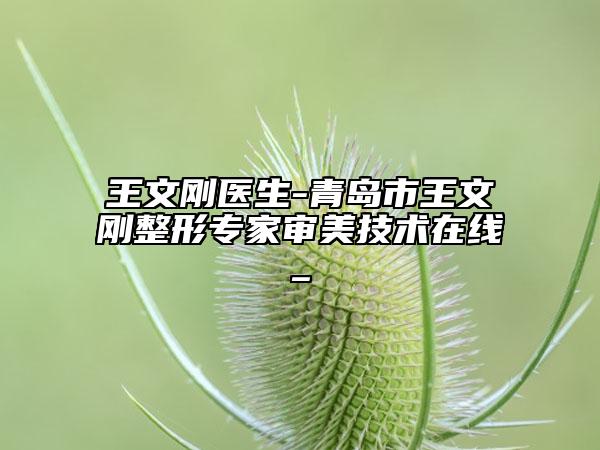 王文刚医生-青岛市王文刚整形专家审美技术在线_