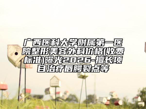 广西医科大学附属第一医院整形美容外科价格(收费标准)曝光2026-擅长项目治疗唇腭裂点等