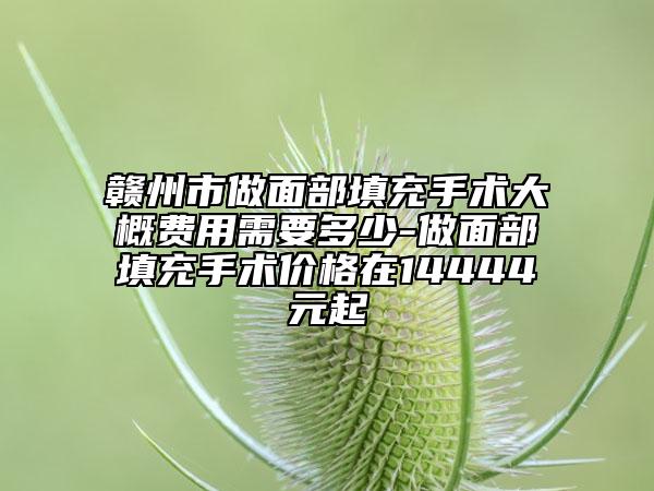 赣州市做面部填充手术大概费用需要多少-做面部填充手术价格在14444元起