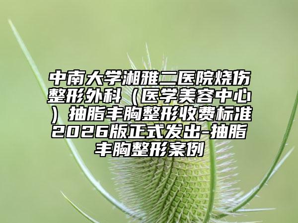 中南大学湘雅二医院烧伤整形外科（医学美容中心）抽脂丰胸整形收费标准2026版正式发出-抽脂丰胸整形案例