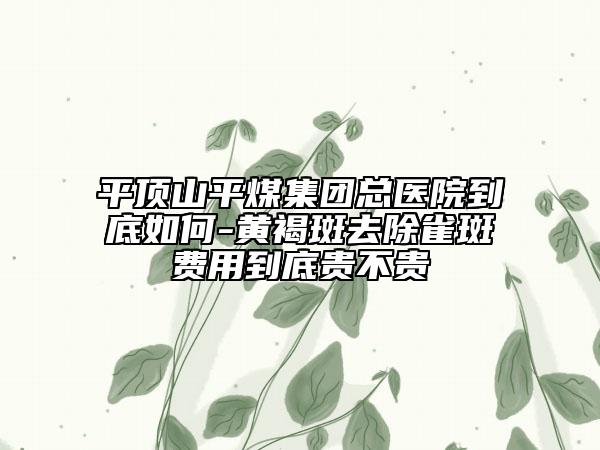 平顶山平煤集团总医院到底如何-黄褐斑去除雀斑费用到底贵不贵