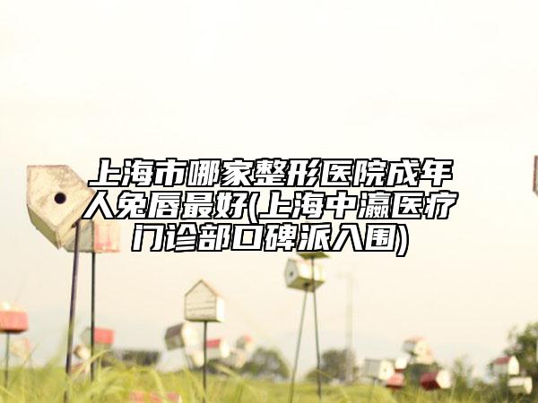 上海市哪家整形医院成年人兔唇最好(上海中瀛医疗门诊部口碑派入围)