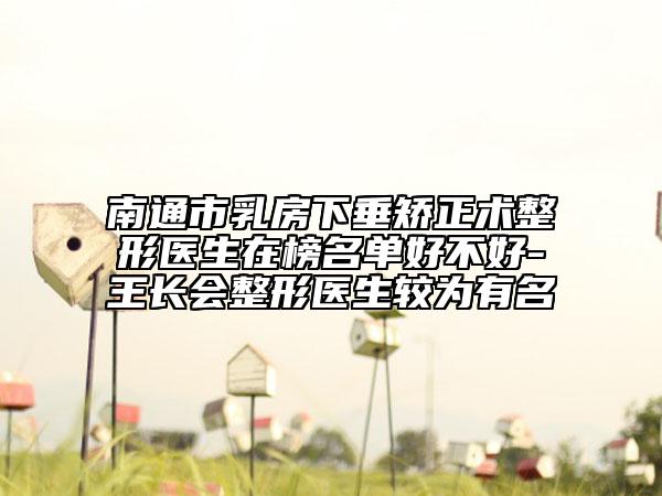 南通市乳房下垂矫正术整形医生在榜名单好不好-王长会整形医生较为有名