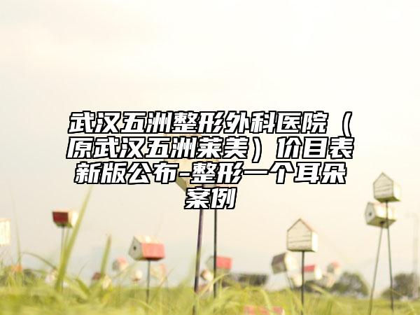 武汉五洲整形外科医院（原武汉五洲莱美）价目表新版公布-整形一个耳朵案例