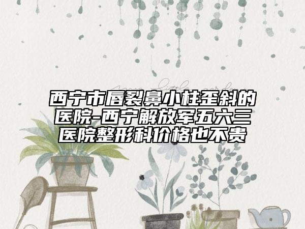 西宁市唇裂鼻小柱歪斜的医院-西宁解放军五六三医院整形科价格也不贵