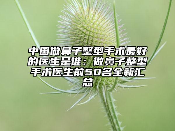 中国做鼻子整型手术最好的医生是谁：做鼻子整型手术医生前50名全新汇总