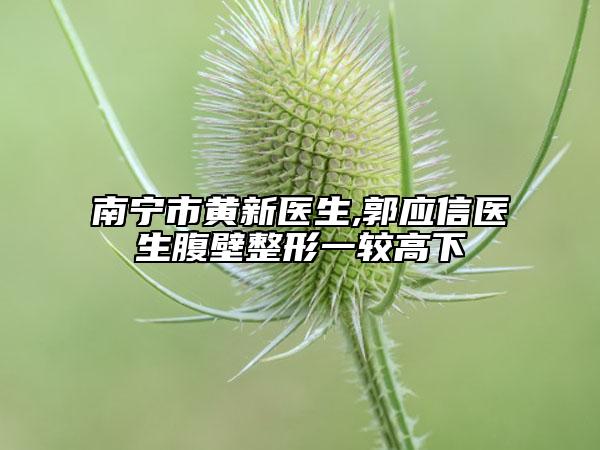 南宁市黄新医生,郭应信医生腹壁整形一较高下