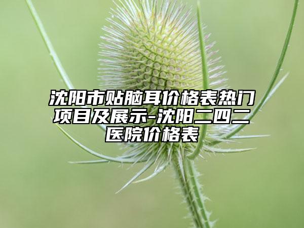 沈阳市贴脑耳价格表热门项目及展示-沈阳二四二医院价格表