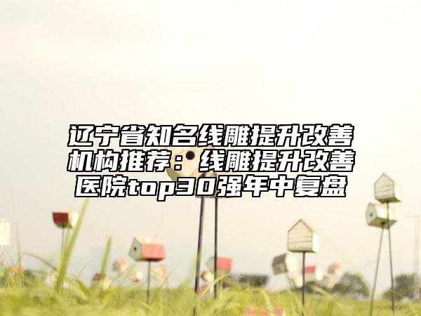 辽宁省知名线雕提升改善机构推荐：线雕提升改善医院top30强年中复盘
