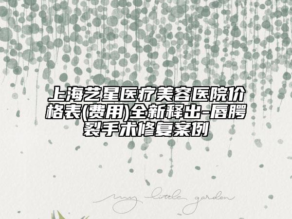 上海艺星医疗美容医院价格表(费用)全新释出-唇腭裂手术修复案例