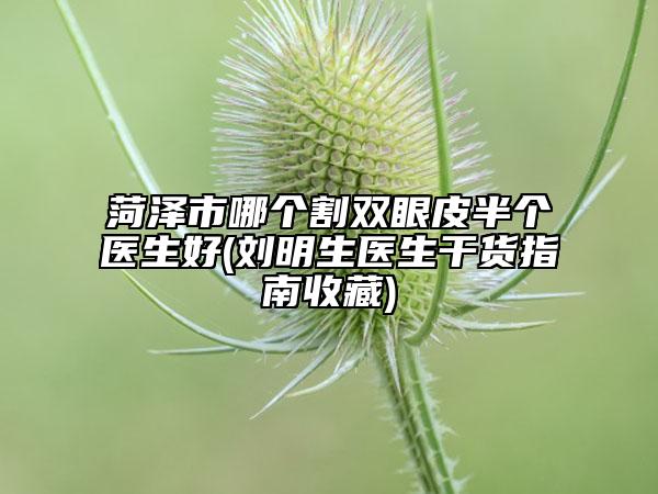 菏泽市哪个割双眼皮半个医生好(刘明生医生干货指南收藏)