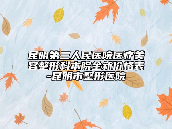 昆明第三人民医院医疗美容整形科本院全新价格表-昆明市整形医院