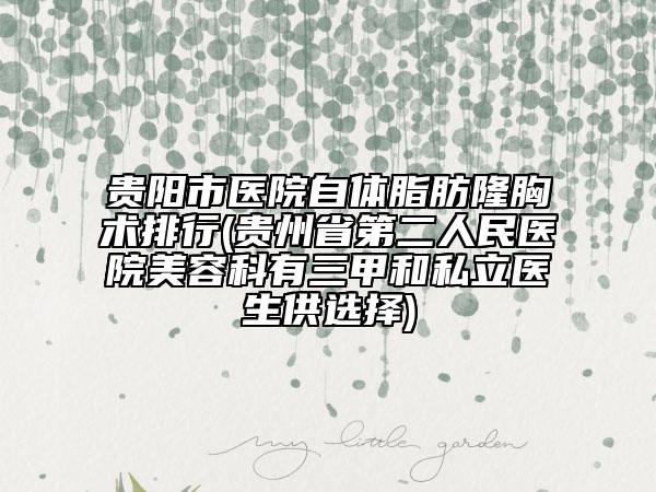 贵阳市医院自体脂肪隆胸术排行(贵州省第二人民医院美容科有三甲和私立医生供选择)