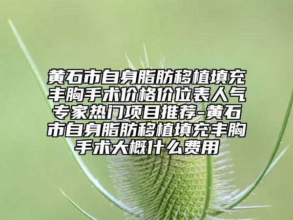 黄石市自身脂肪移植填充丰胸手术价格价位表人气专家热门项目推荐-黄石市自身脂肪移植填充丰胸手术大概什么费用