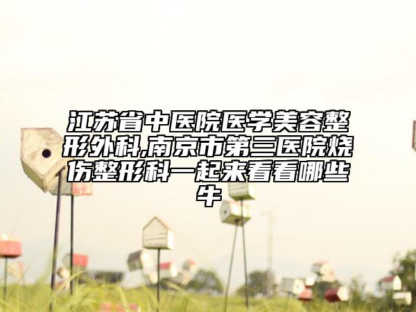 江苏省中医院医学美容整形外科,南京市第三医院烧伤整形科一起来看看哪些牛