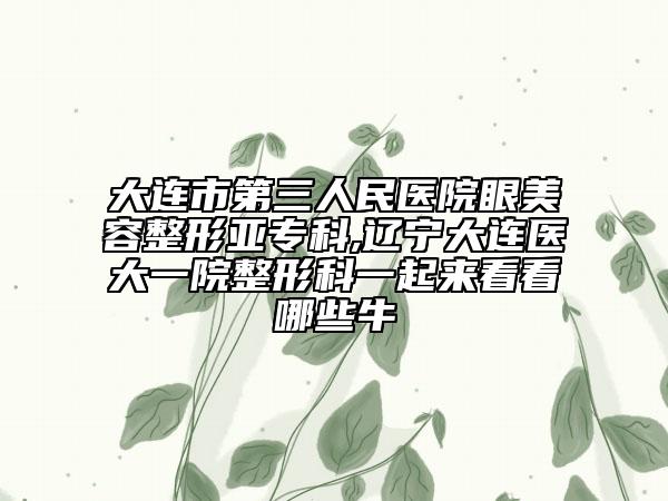 大连市第三人民医院眼美容整形亚专科,辽宁大连医大一院整形科一起来看看哪些牛