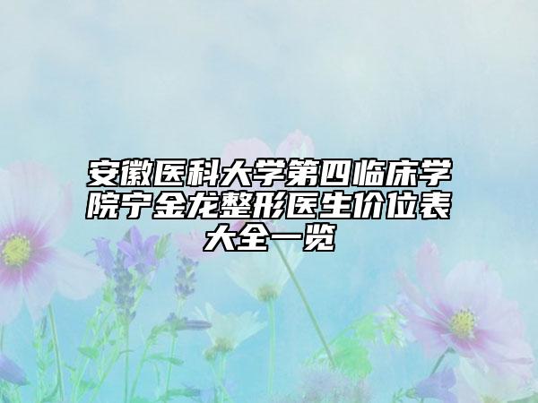 安徽医科大学第四临床学院宁金龙整形医生价位表大全一览