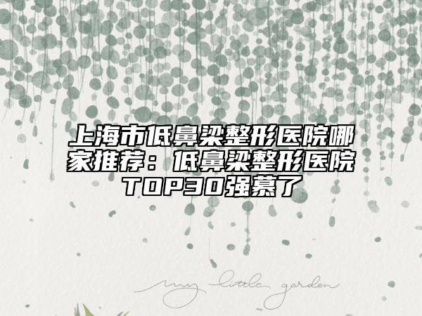 上海市低鼻梁整形医院哪家推荐：低鼻梁整形医院TOP30强慕了