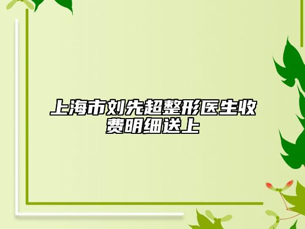 上海市刘先超整形医生收费明细送上