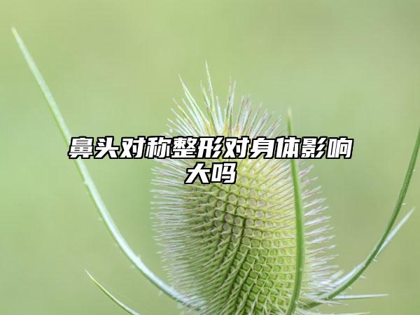鼻头对称整形对身体影响大吗