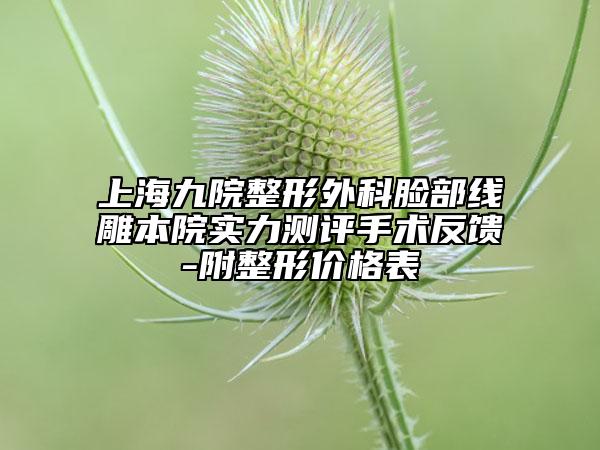上海九院整形外科脸部线雕本院实力测评手术反馈-附整形价格表
