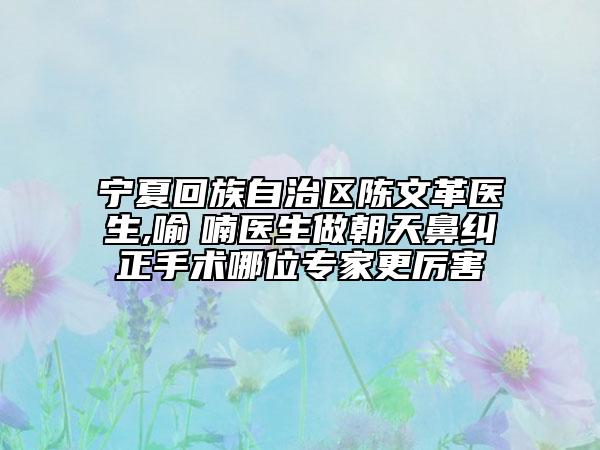 宁夏回族自治区陈文革医生,喻　喃医生做朝天鼻纠正手术哪位专家更厉害