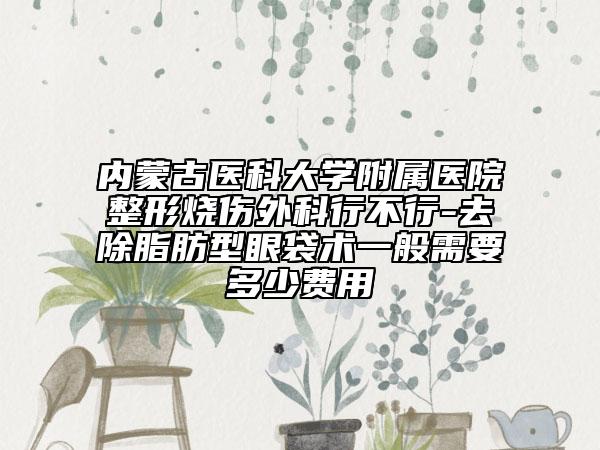内蒙古医科大学附属医院整形烧伤外科行不行-去除脂肪型眼袋术一般需要多少费用