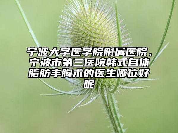 宁波大学医学院附属医院、宁波市第三医院韩式自体脂肪丰胸术的医生哪位好呢