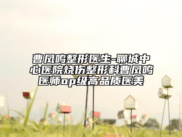 曹凤鸣整形医生-聊城中心医院烧伤整形科曹凤鸣医师op级高品质医美