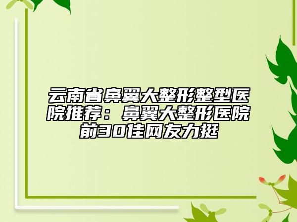云南省鼻翼大整形整型医院推荐：鼻翼大整形医院前30佳网友力挺