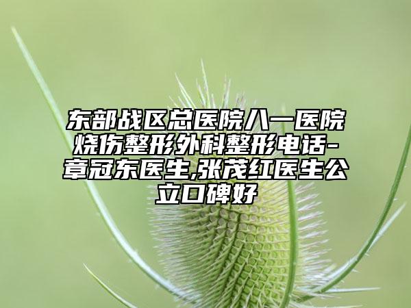 东部战区总医院八一医院烧伤整形外科整形电话-章冠东医生,张茂红医生公立口碑好