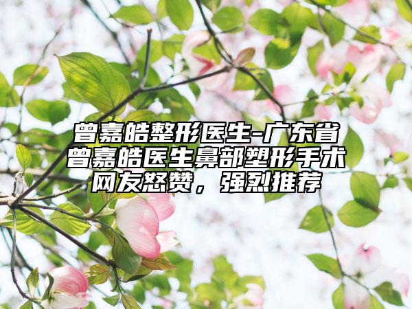 曾嘉皓整形医生-广东省曾嘉皓医生鼻部塑形手术网友怒赞，强烈推荐