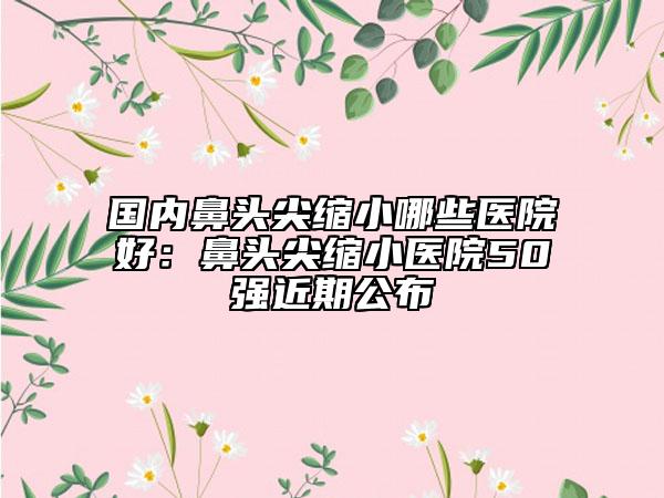国内鼻头尖缩小哪些医院好：鼻头尖缩小医院50强近期公布