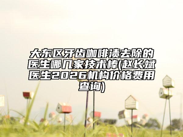 大东区牙齿咖啡渍去除的医生哪几家技术棒(赵长斌医生2026机构价格费用查询)