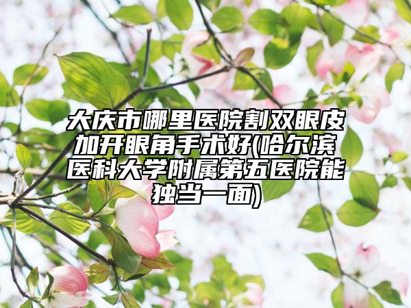 大庆市哪里医院割双眼皮加开眼角手术好(哈尔滨医科大学附属第五医院能独当一面)