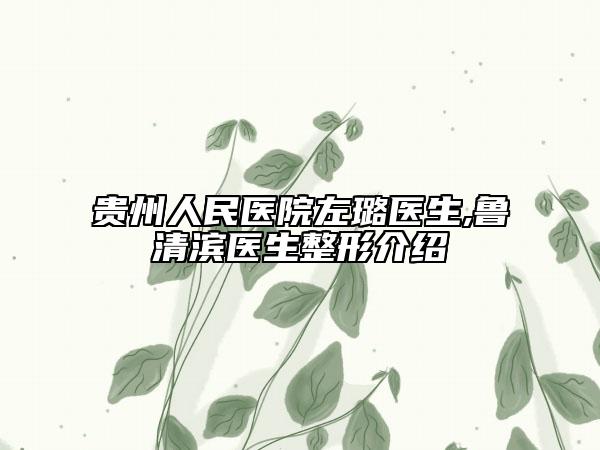 贵州人民医院左璐医生,鲁清滨医生整形介绍