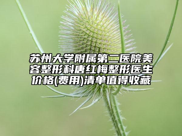 苏州大学附属第二医院美容整形科唐红梅整形医生价格(费用)清单值得收藏