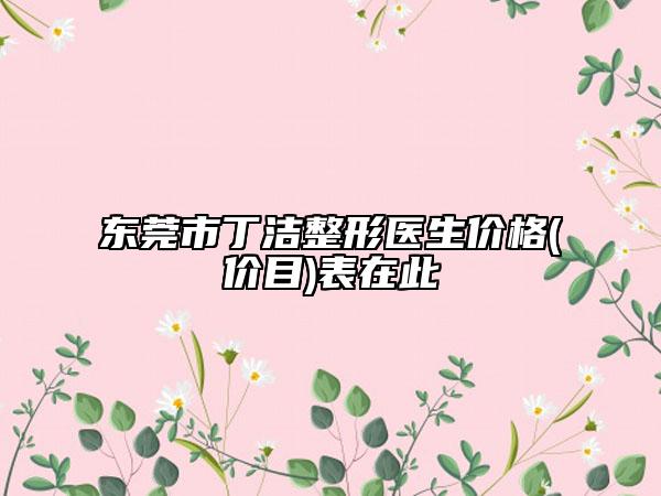东莞市丁洁整形医生价格(价目)表在此