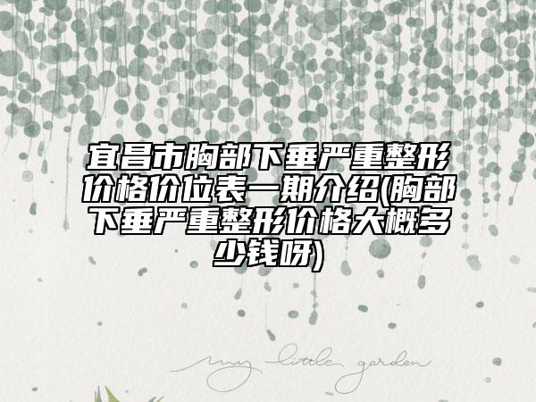 宜昌市胸部下垂严重整形价格价位表一期介绍(胸部下垂严重整形价格大概多少钱呀)